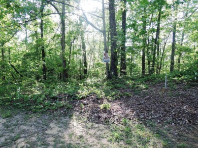 Lewis Smith Lake Lot For Sale in Jasper Alabama