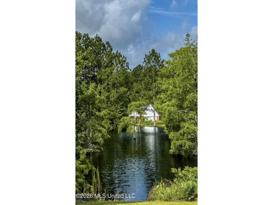 LAKE PROPERTY! Experience peaceful lakefront living in this - photo 30