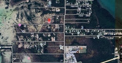 Vacant 1.01-acre parcel on Acosta Trail in Upper Sugarloaf Key - photo 1