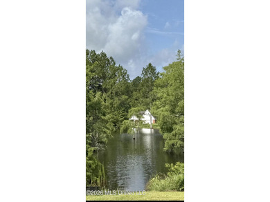LAKE PROPERTY! Experience peaceful lakefront living in this - photo 38