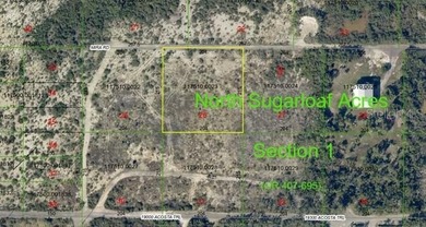 Vacant 1.01-acre parcel on Mira Rd in Upper Sugarloaf Key - photo 2
