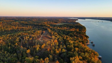 This tract offers a combination of stunning Tennessee River - photo 12