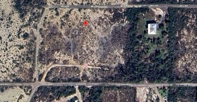 Vacant 1.01-acre parcel on Mira Rd in Upper Sugarloaf Key - photo 4