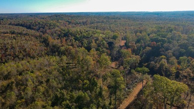 This tract offers a combination of stunning Tennessee River - photo 14