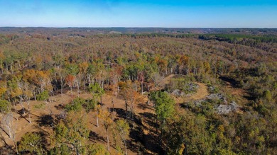 This tract offers a combination of stunning Tennessee River - photo 15