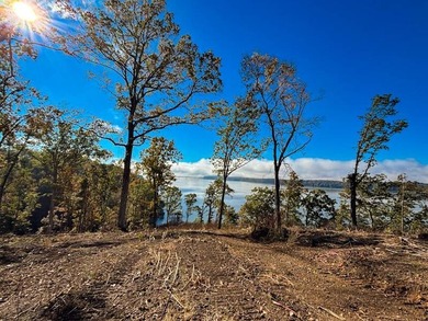 This tract offers a combination of stunning Tennessee River - photo 18