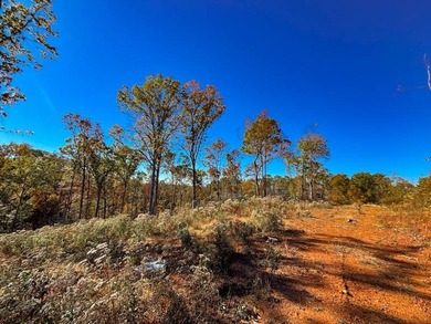 This tract offers a combination of stunning Tennessee River - photo 20