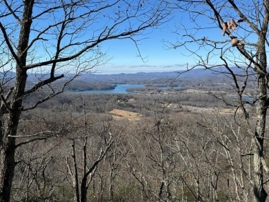 Lake Chatuge Lot Sale Pending in Hayesville North Carolina