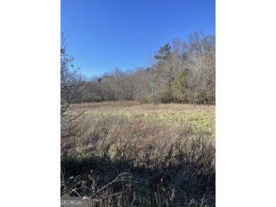 (private lake, pond, creek) Acreage For Sale in Monroe Georgia