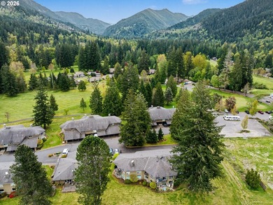 Experience resort style living in this upper-level 2 bedroom, 2 - photo 42