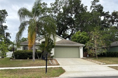 Lake Lindley Home For Sale in Deland Florida