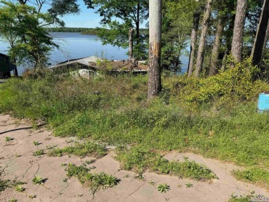 Lake Lot For Sale in Long Branch, Texas