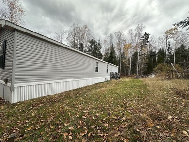ATV and snowmobile enthusiasts check this out! Two bed one bath - photo 3