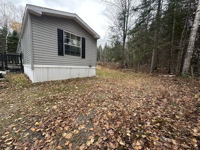 ATV and snowmobile enthusiasts check this out! Two bed one bath - photo 4