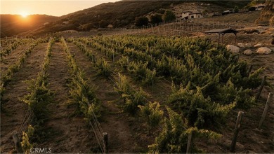 Welcome to one of Southern California's most extraordinary - photo 5