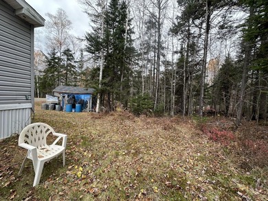 ATV and snowmobile enthusiasts check this out! Two bed one bath - photo 9