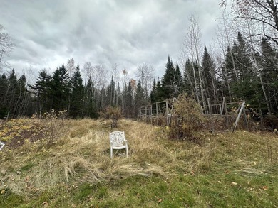 ATV and snowmobile enthusiasts check this out! Two bed one bath - photo 10