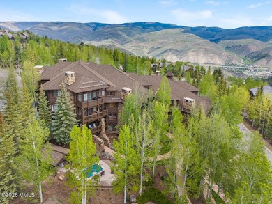 The 3-bedroom ski residence you had been waiting for all winter - photo 25