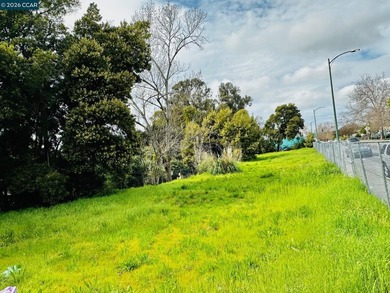 OPPORTUNITY!! Corner lot. 6 lots sitting in a well-established - photo 2
