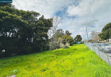 OPPORTUNITY!! Corner lot. 6 lots sitting in a well-established - photo 3