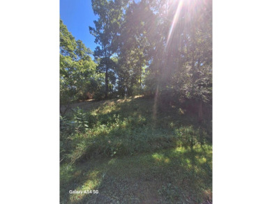 Lake Lot For Sale in Grass Lake, Michigan