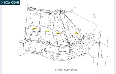 Development Opportunity: Four adjacent residential lots in a - photo 3