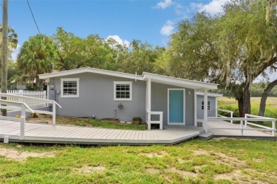 Lake Home For Sale in Ocklawaha, Florida