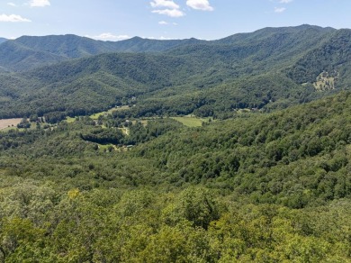 Fontana Lake Lot For Sale in Robbinsville (Graham) North Carolina