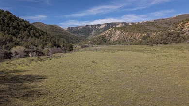 Located between Rifle and Meeker, this 1,273+/- deeded acre - photo 18