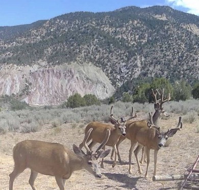 Located between Rifle and Meeker, this 1,273+/- deeded acre - photo 19