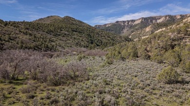 Located between Rifle and Meeker, this 1,273+/- deeded acre - photo 21