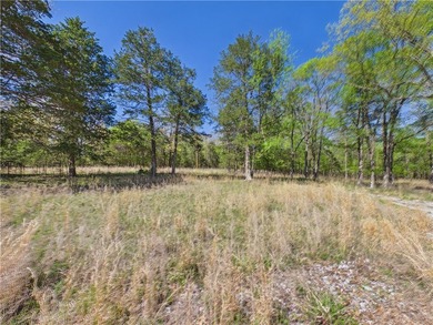 This 14.77 acres is your new opportunity at a Lake property! - photo 4