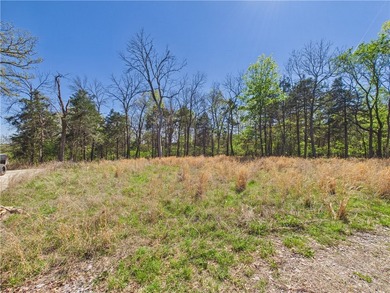 This 14.77 acres is your new opportunity at a Lake property! - photo 6