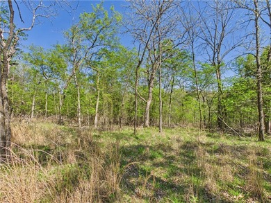 This 14.77 acres is your new opportunity at a Lake property! - photo 7