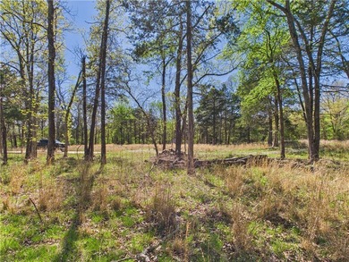 This 14.77 acres is your new opportunity at a Lake property! - photo 8