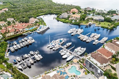 Gorgeous estate home in prestigious St. Charles Harbour, just - photo 50