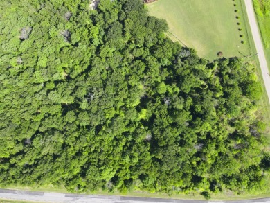 Two Lots at Richland Chambers Lake combine for 4.4 acres! - photo 2