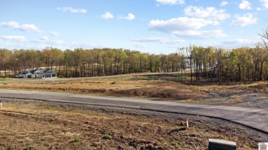 Build your dream home on this beautiful 0.7-acre lot in the - photo 11