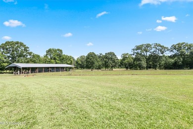 This custom-built equestrian property in Terry offers a - photo 12