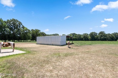 This custom-built equestrian property in Terry offers a - photo 13