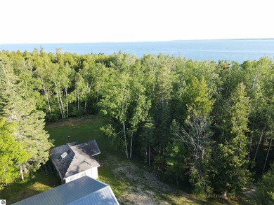 Lake Michigan - Emmet County Home For Sale in Mackinaw Michigan