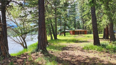 Rare, rare find on the rippling portion of the Swan River! - photo 24