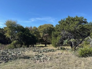 Lake Whitney Lot For Sale in Whitney Texas