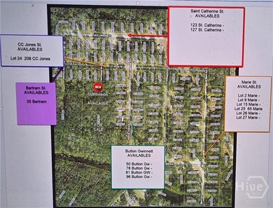 Lake Lot For Sale in Midway, Georgia