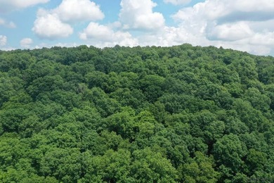 Nestled on 5.6 beautiful wooded acres in scenic Lower Turkeyfoot - photo 6