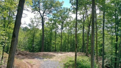 Fontana Lake Acreage For Sale in Bryson City North Carolina