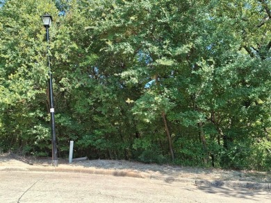 Joe Pool Lake Lot For Sale in Cedar Hill Texas