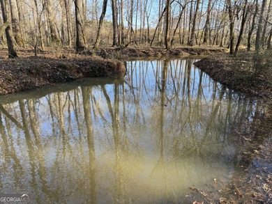 (private lake, pond, creek) Acreage For Sale in Greenville Georgia