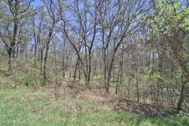If you are looking for a quiet place to build your cabin or new - photo 3