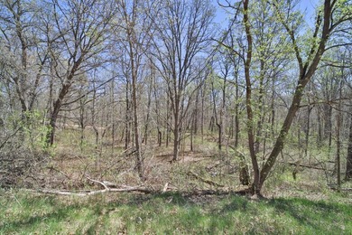 If you are looking for a quiet place to build your cabin or new - photo 4